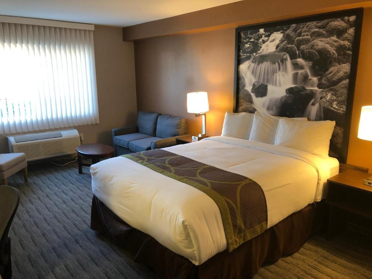 Super 8 By Wyndham Lynnwood Motel Kültér fotó