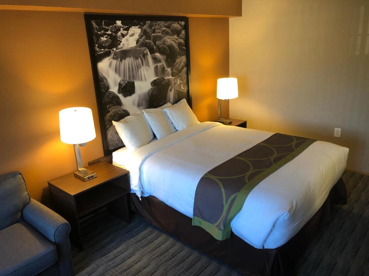 Super 8 By Wyndham Lynnwood Motel Kültér fotó